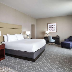 King Studio Suite