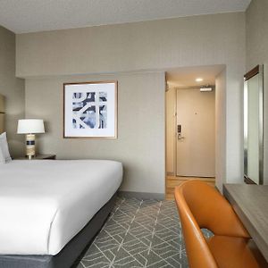 King Room Sofa Bed
